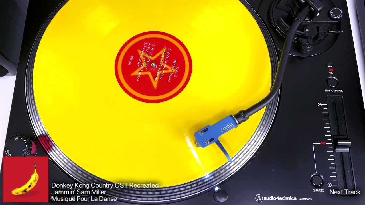 Donkey Kong Country OST Recreated: Side C | Vinyl Rip (Music Pour La Dance)