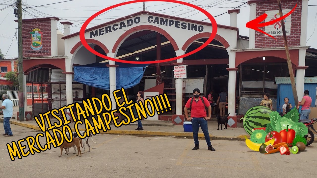 VISITANDO MERCADO CAMPESINO AGUA DULCE VER, | EXPLORACION URBANA #8