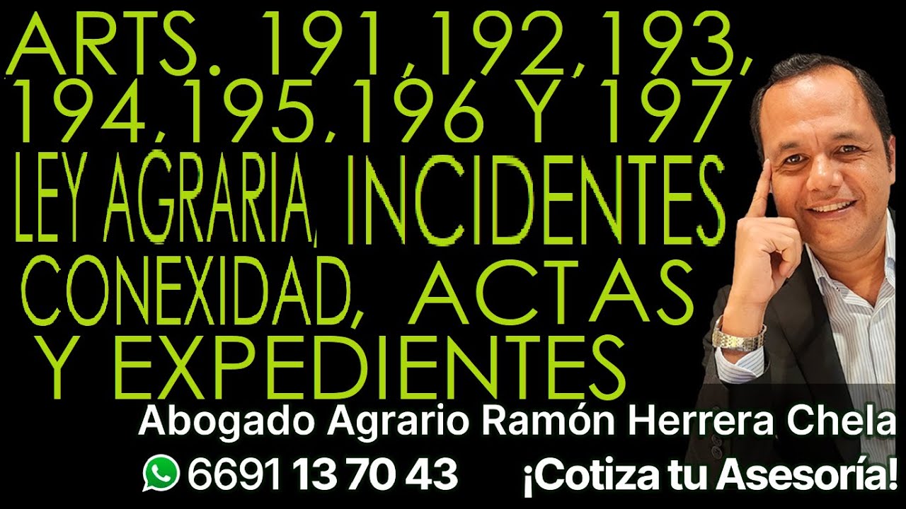 Arts 191, 192, 193, 194, 195, 196, y 197 Ley Agraria: incidentes, conexidad,  actas y expedientes.