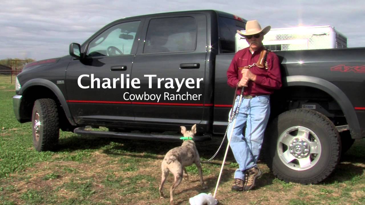 How to Train & Handle The Cowdog -DVD FOR SALE