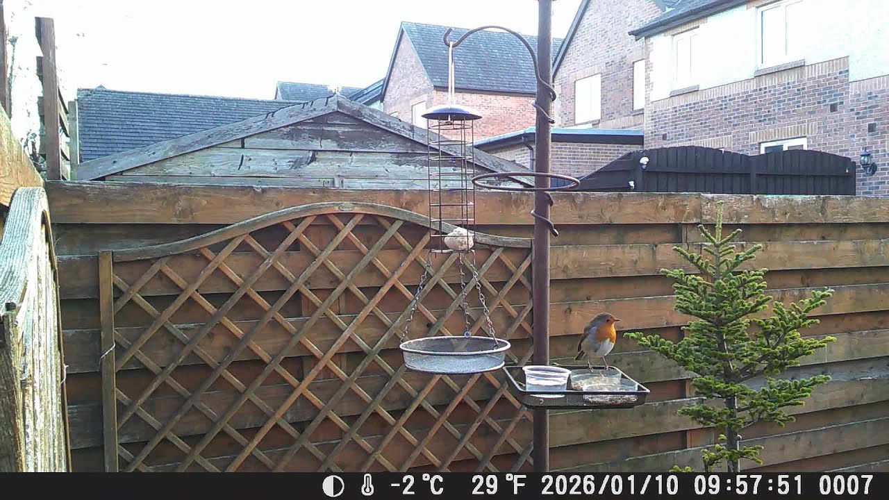 Garden Trail Camera 10th January 2026