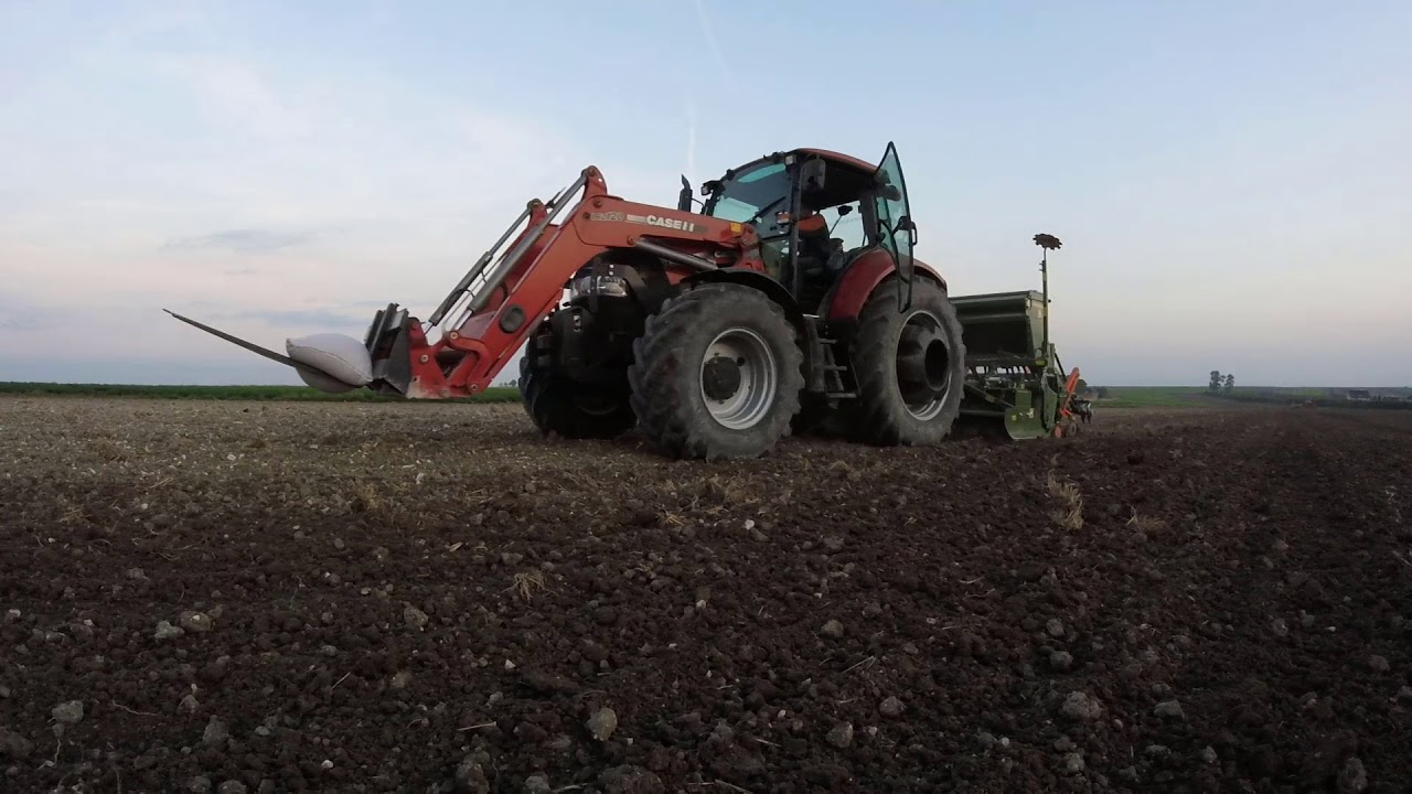 Siew Pszenicy Ozimej 2017. Case Farmall u & Amazone AD303