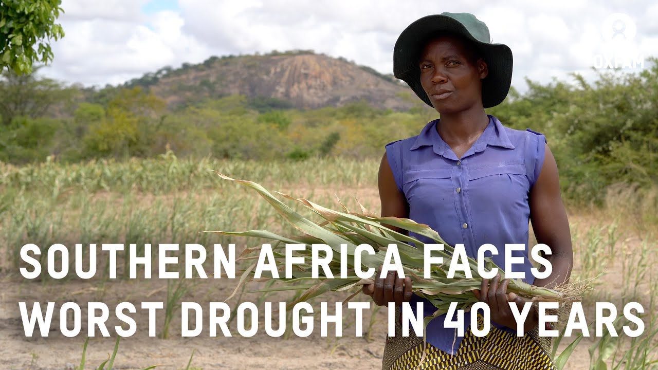 Worst drought in 40 years hits Southern Africa - report from Zimbabwe | Oxfam GB