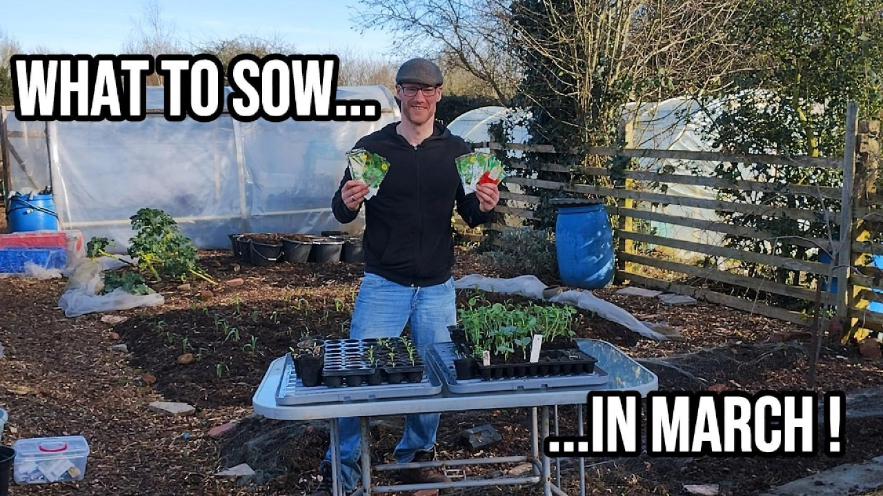 What can I sow in March ? 🌱 Plus a look at February sowings.