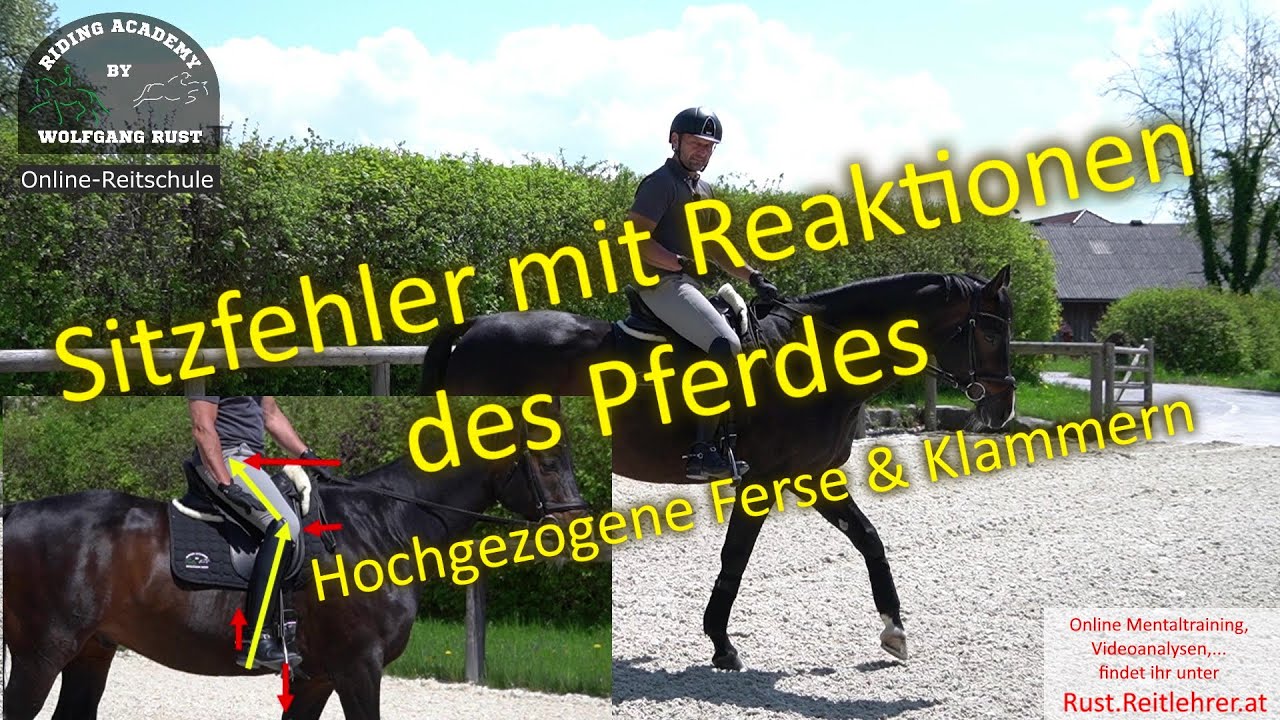 F104 Sitzfehler, Reiterfehler mit den negativen Reaktionen des Pferdes! Richtig reiten lernen.