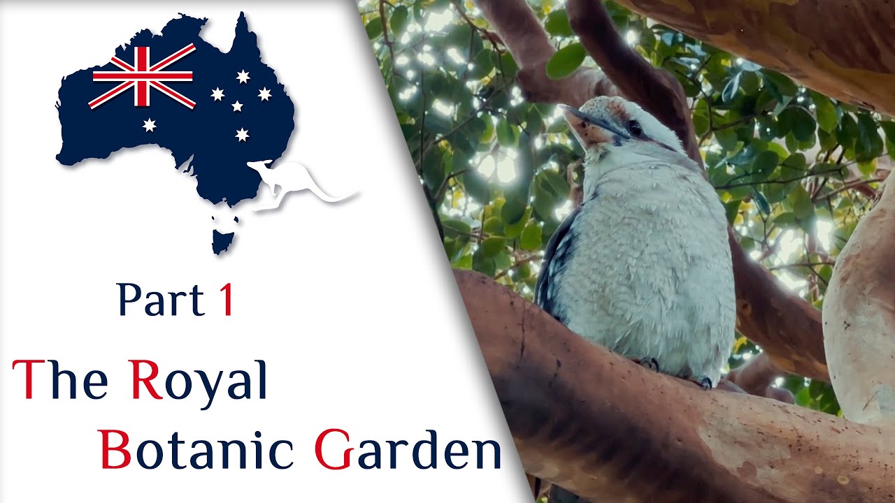 The Royal Botanic Garden Sydney Australia NSW - Tour of Part 1