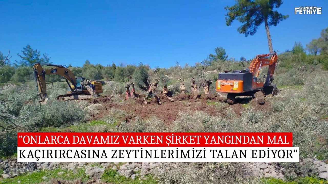 Milas Çamköy’deki ağaç sökümüne tepki gösteren yurttaşlardan ifade işleminin ardından açıklama
