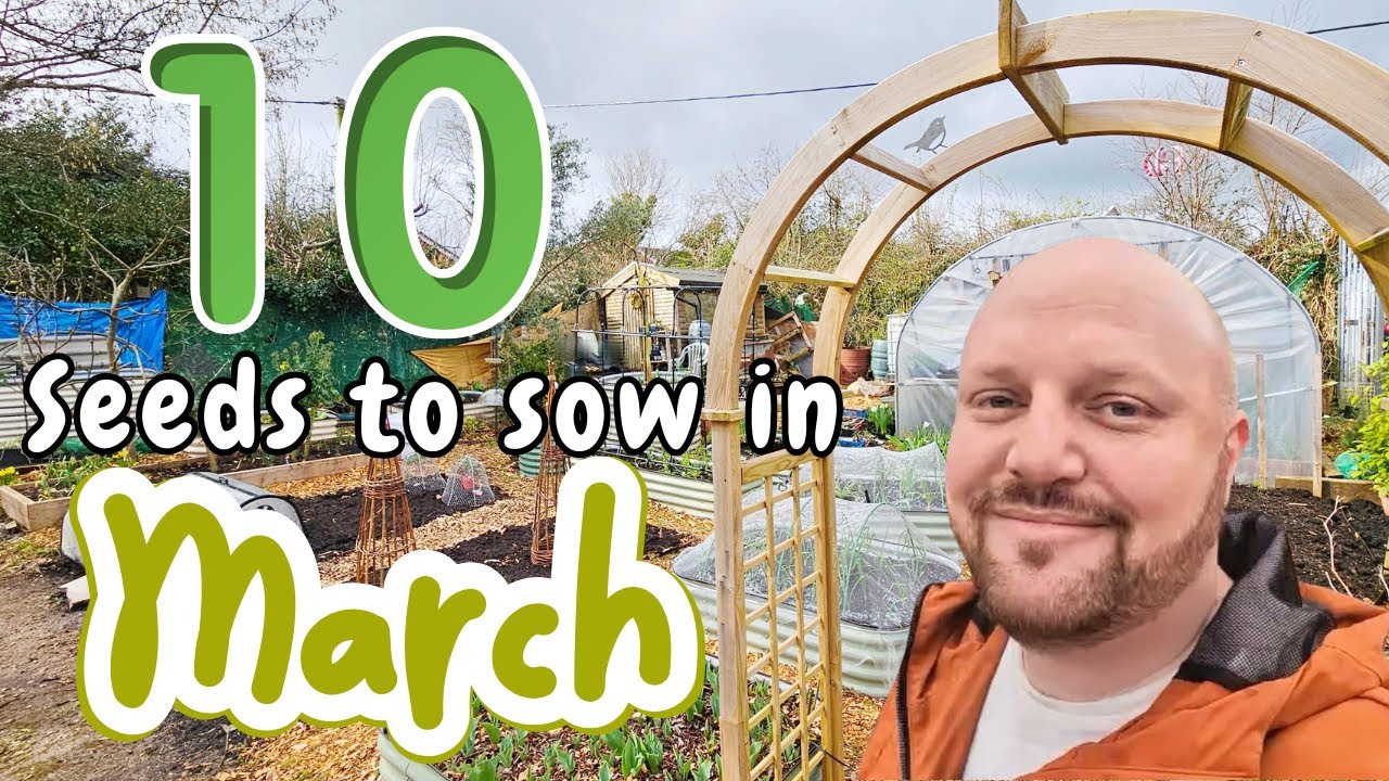 You MUST sow these seeds in march | Sowing and growing in march | Allotment Life