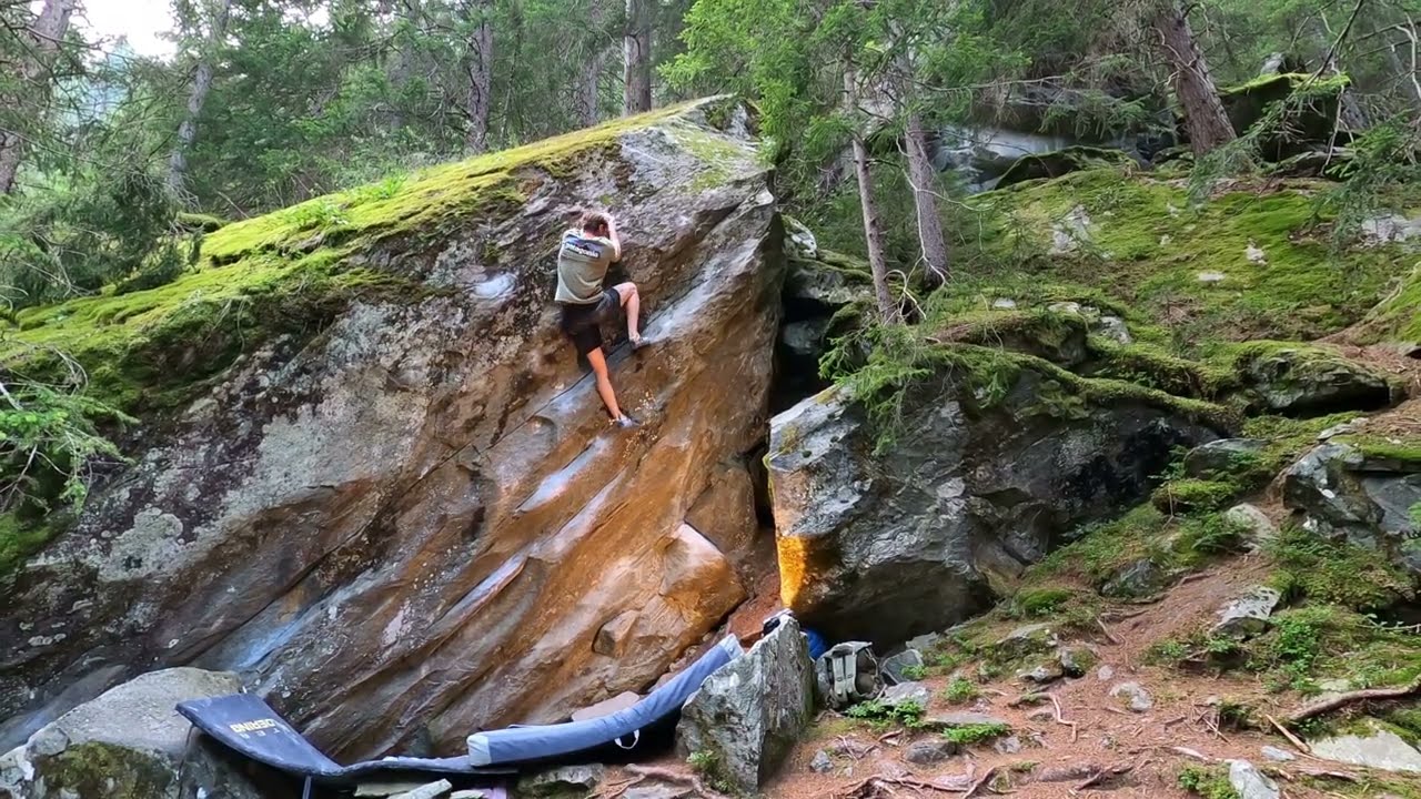 Small Jack - 7c (Magic Wood)
