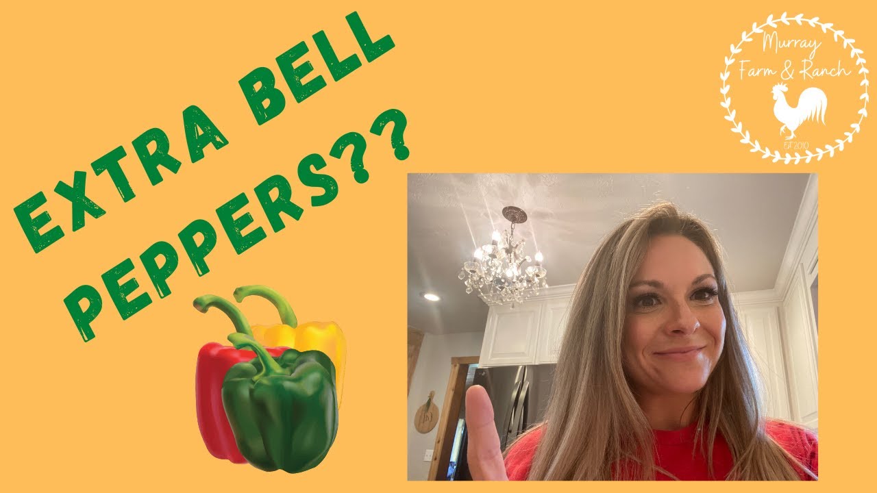 What to do with those extra Bell Peppers?? Dont let them waste away!