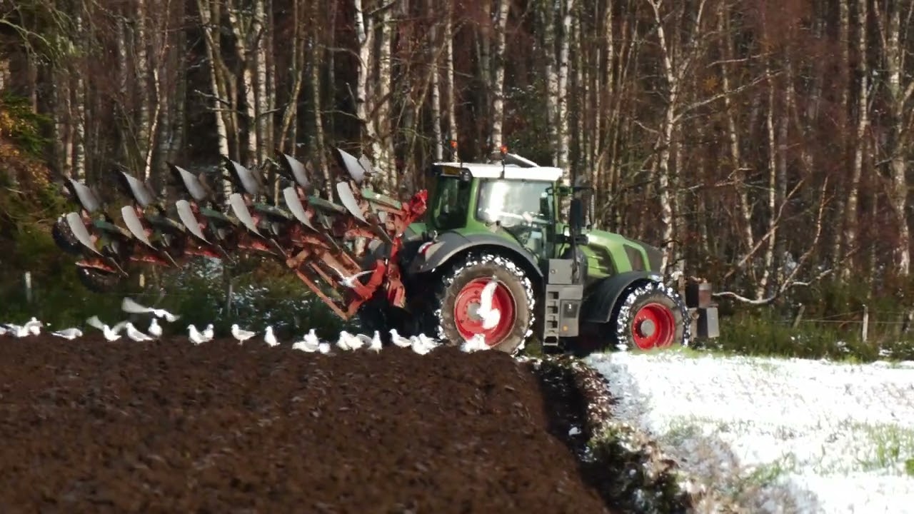 Billy and his Fendt 828