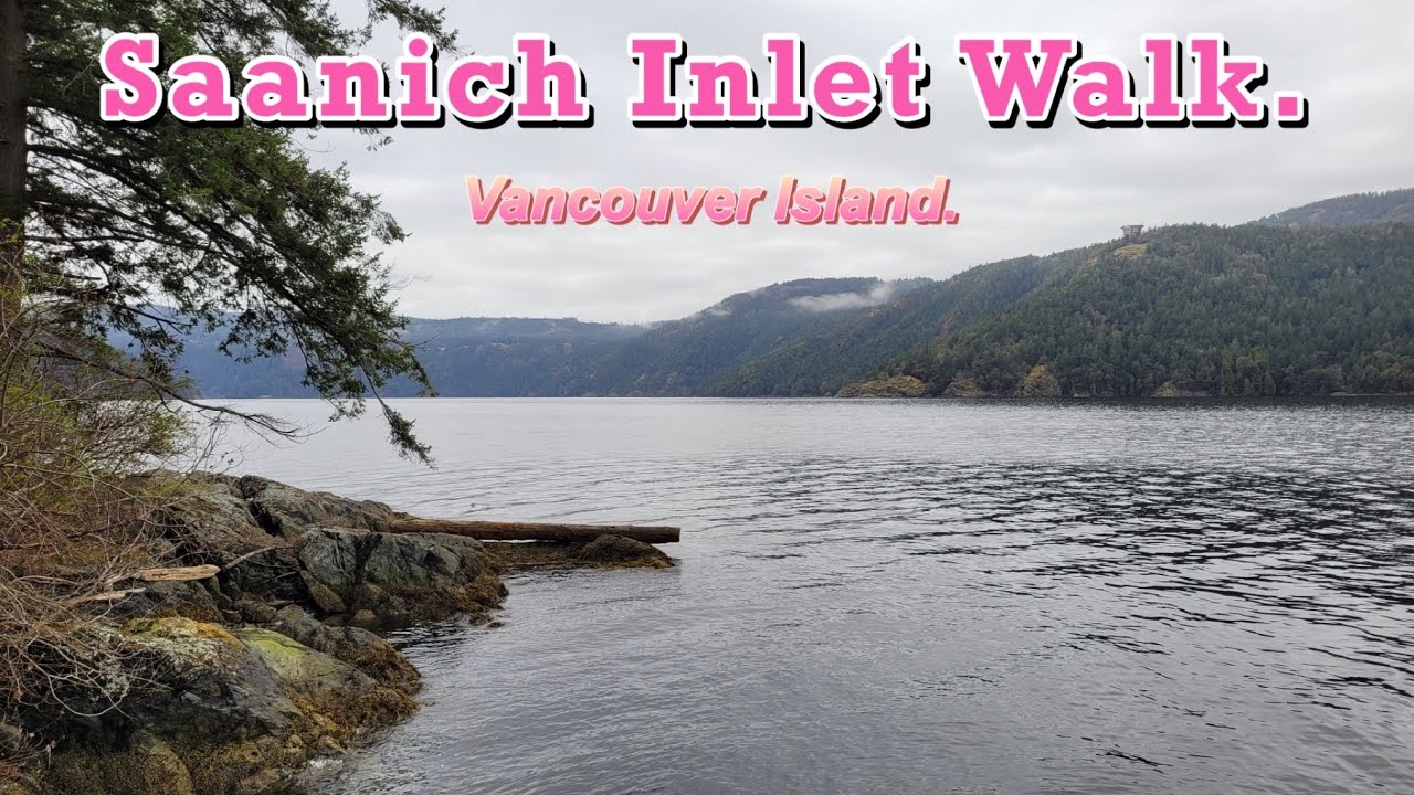 What a great easy walk along the Saanich Inlet. On Vancouver Island.