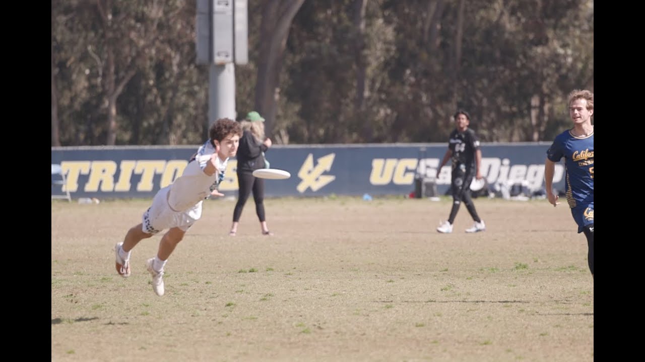 Mario Ambrose for Callahan