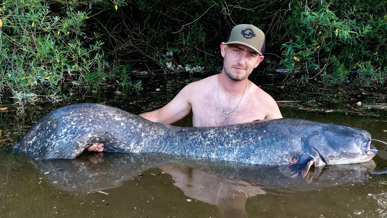 Sumec🦈 /VN Ružín 💚 /Rybolov /Lov sumcov/Chyť a pusť /#fishing #fish #rybolov 
