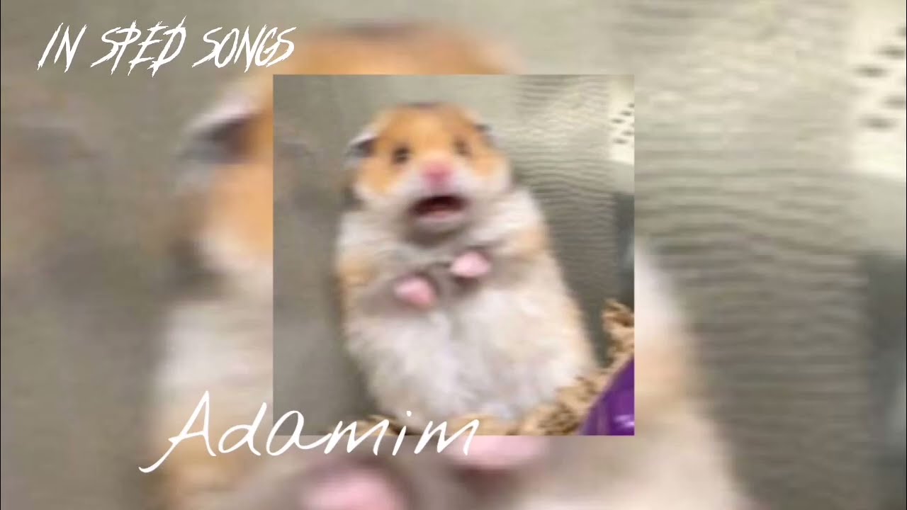 Adamım sped up