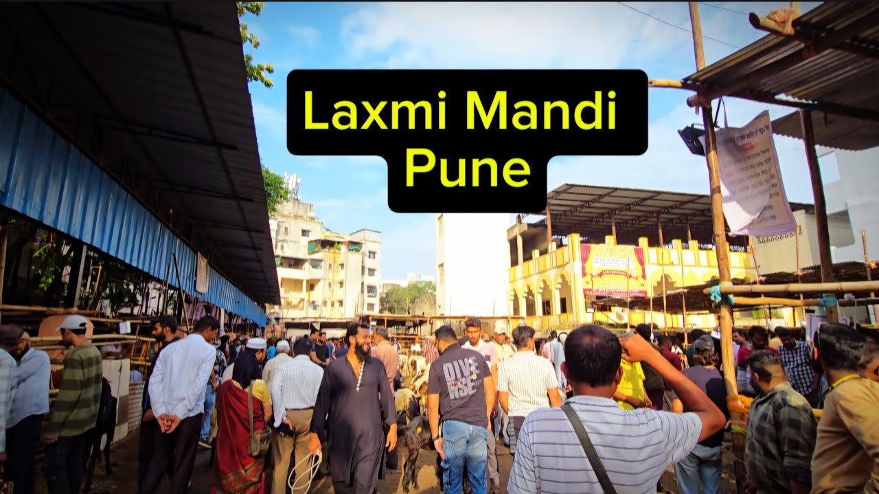 Laxmi Bakra Mandi Pune [Bakra Eid 2025]