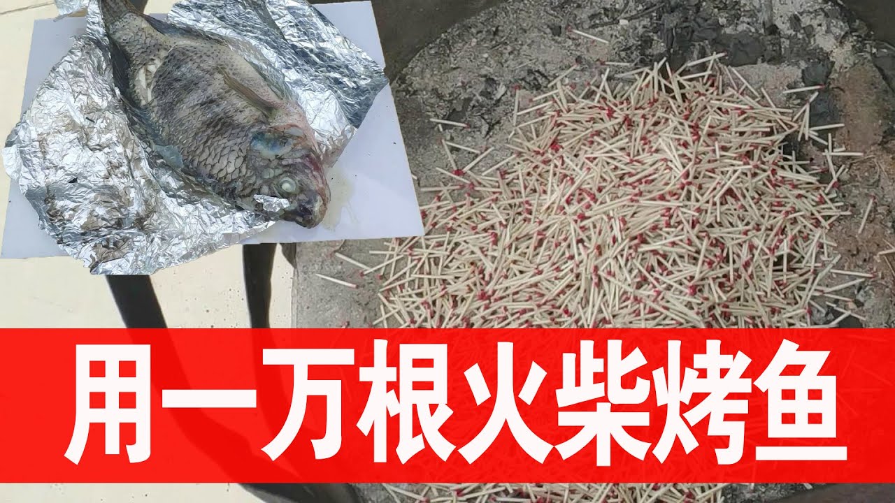 挑战用一万根火柴烤鱼！能把鱼烤熟吗？【开箱嘤嘤嘤怪】