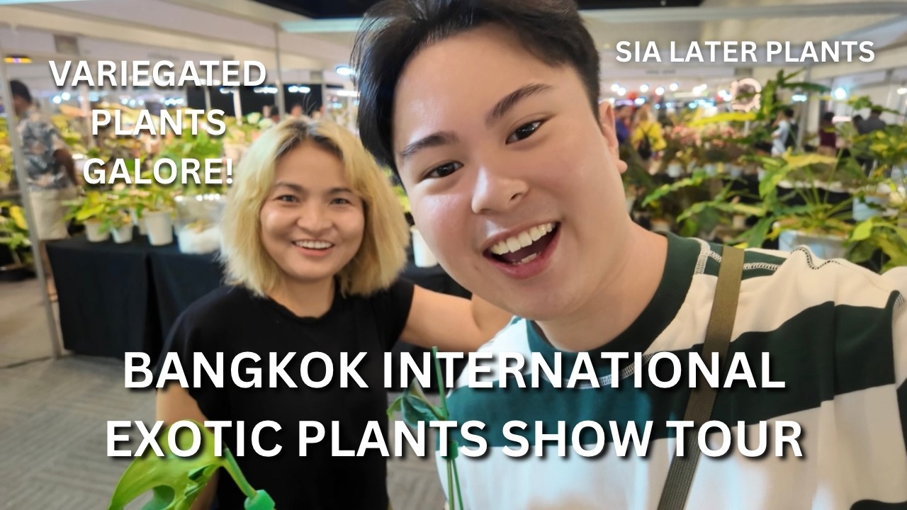 Inside Bangkok’s Exotic Plant Show 🌿 Rare Variegated Monstera, Alocasia & Anthurium!