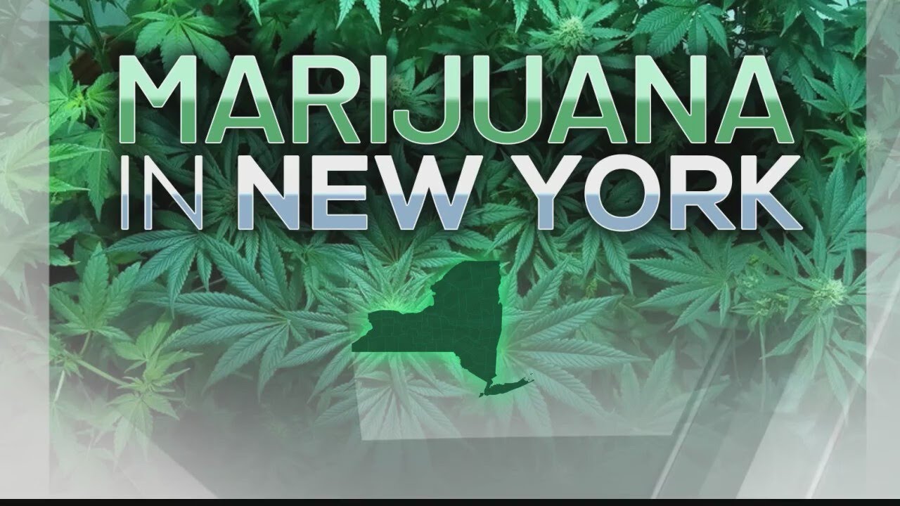 First cannabis growers' showcase