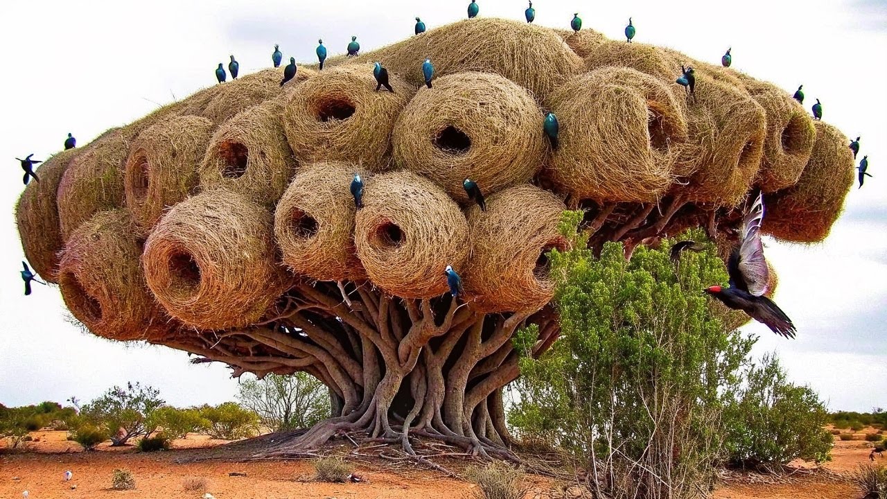 Top 100 DEADLIEST Places on Earth