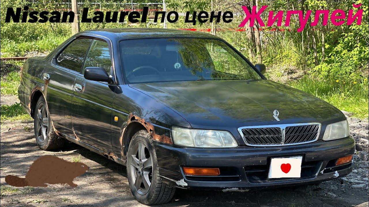 NISSAN LAUREL HC35 ПО ЦЕНЕ ЖИГУЛЕЙ | ЭСТЕТИКА ГНИЕНИЯ