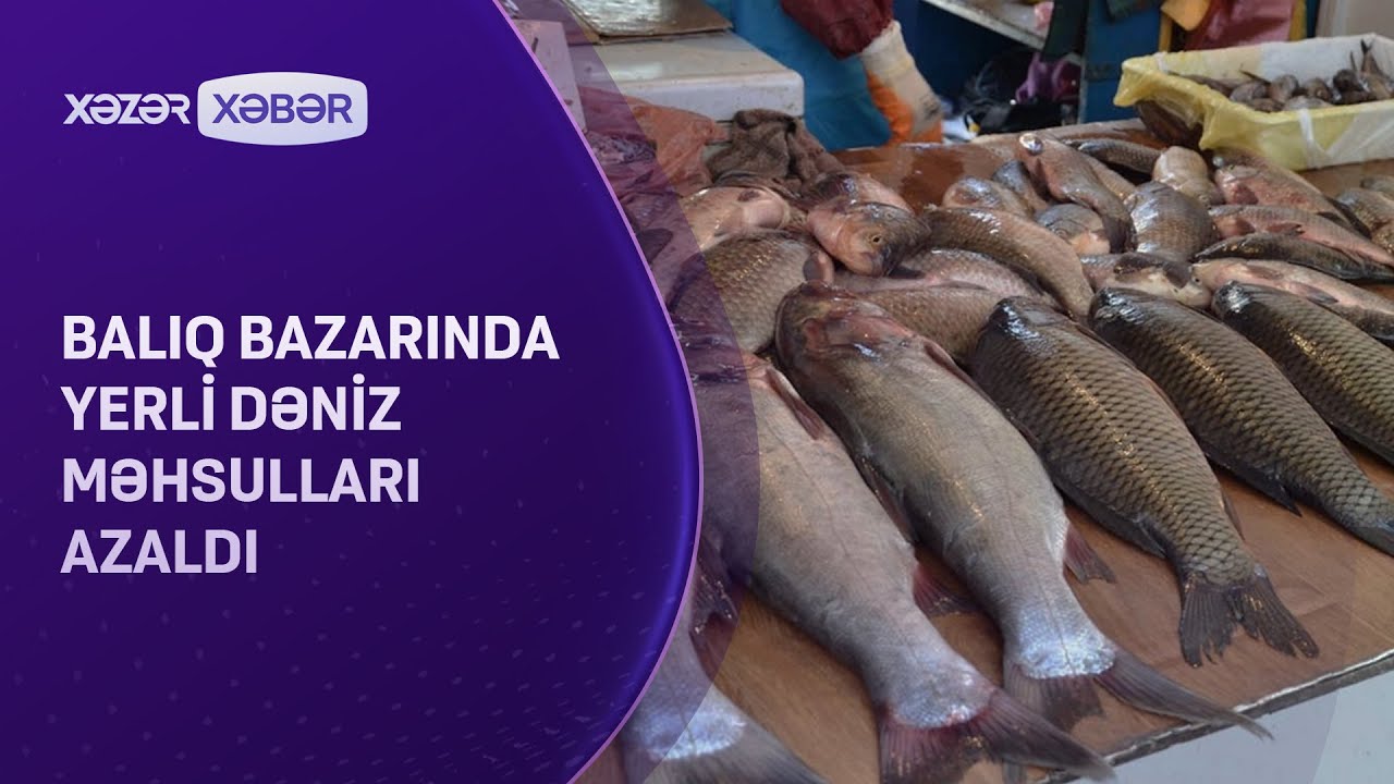 Balıq bazarında yerli dəniz məhsulları AZALDI