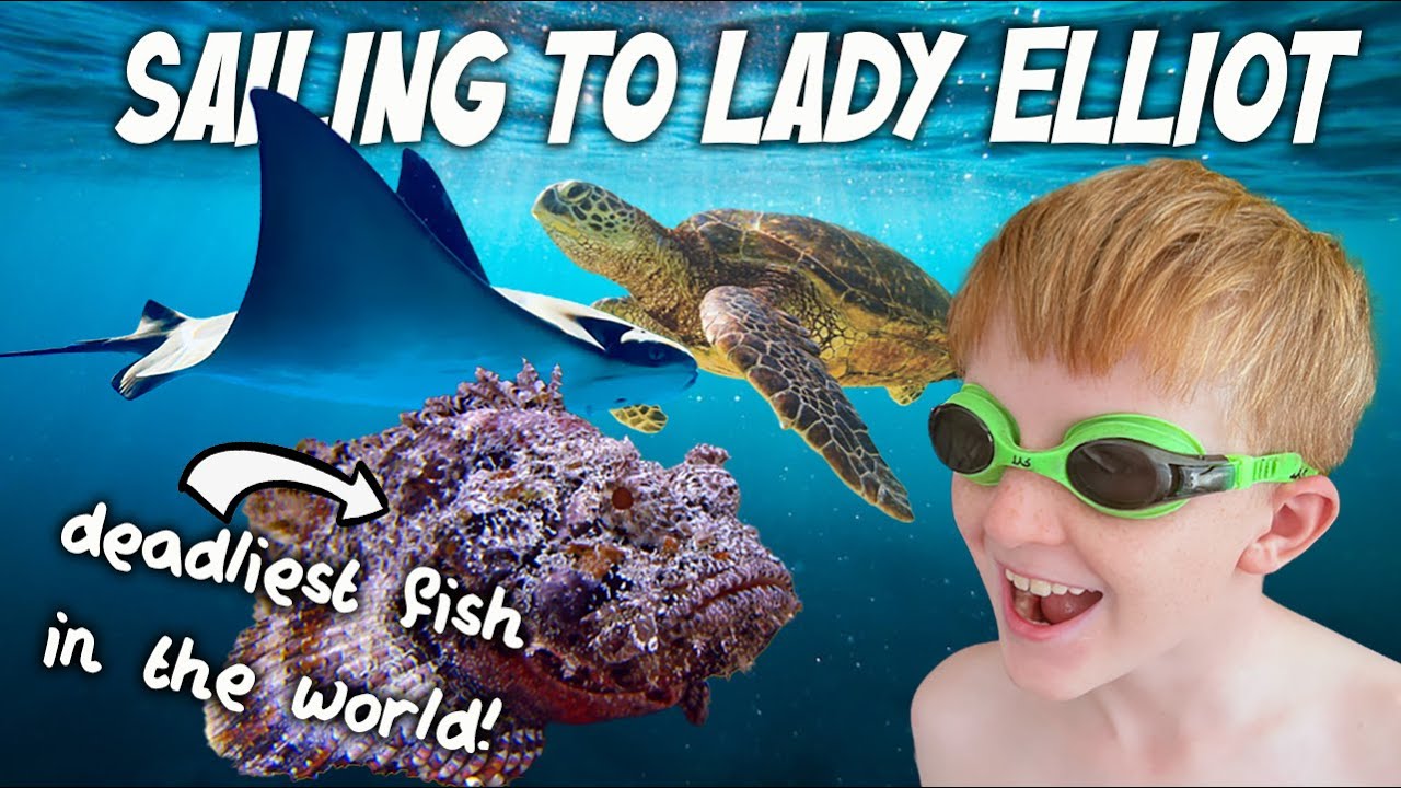 What I Wish I'd Known Before Sailing to Lady Elliot Island in the Great Barrier Reef (How To)
