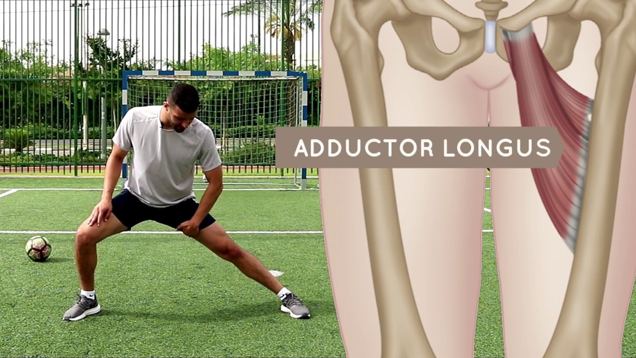 Groin Stretch Exercises and How to Avoid Groin Strains and Injuries