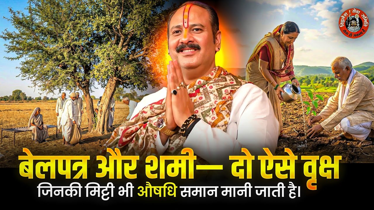 बेलपत्र और शमी—दो ऐसे वृक्ष जिनकी मिट्टी भी औषधि समान मानी जाती है।