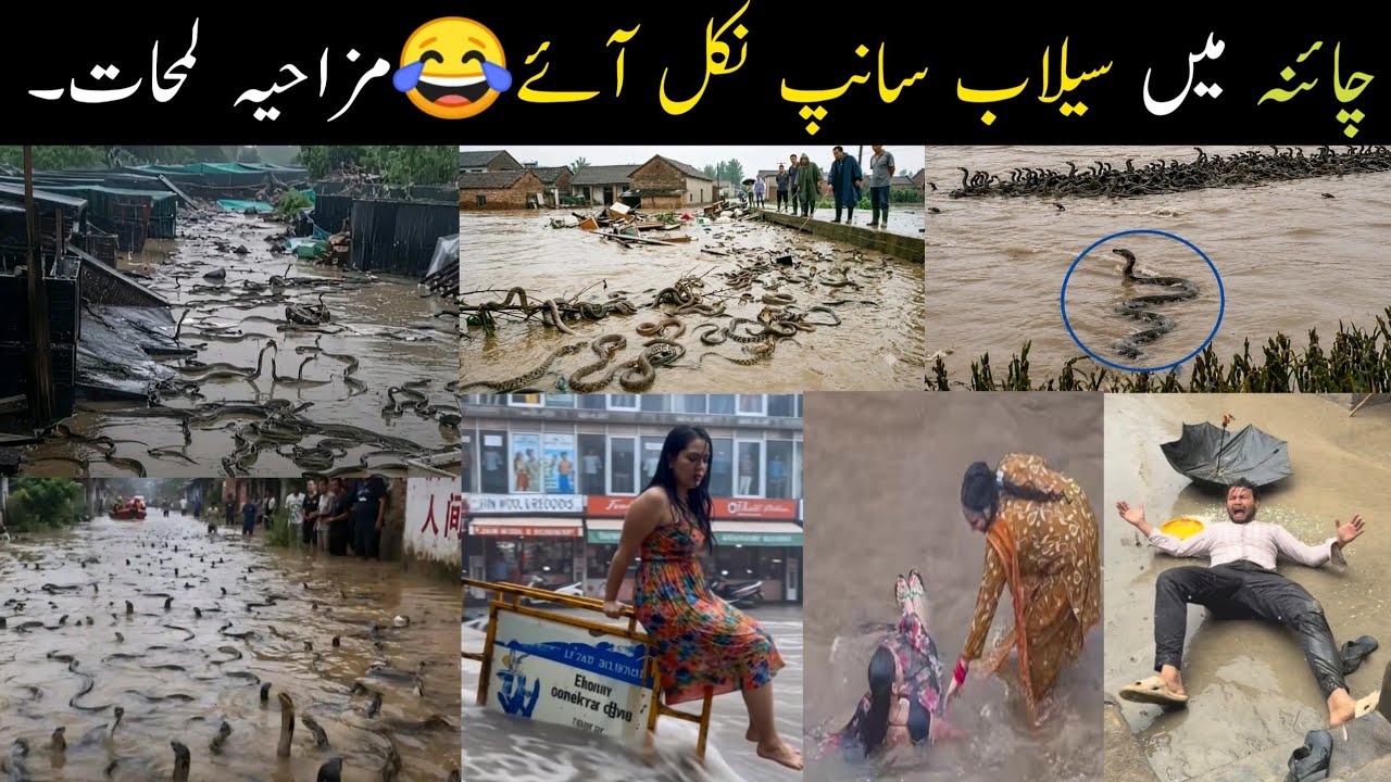 China Flood Horror 😱 Hundreds of Snakes Escape After Flood | Viral Video 2026