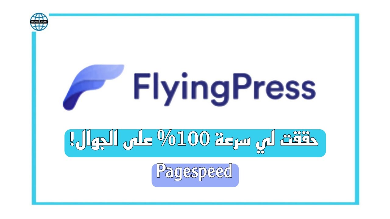 شرح اعدادات FlyingPress (اضافة حققت سرعة 100%)