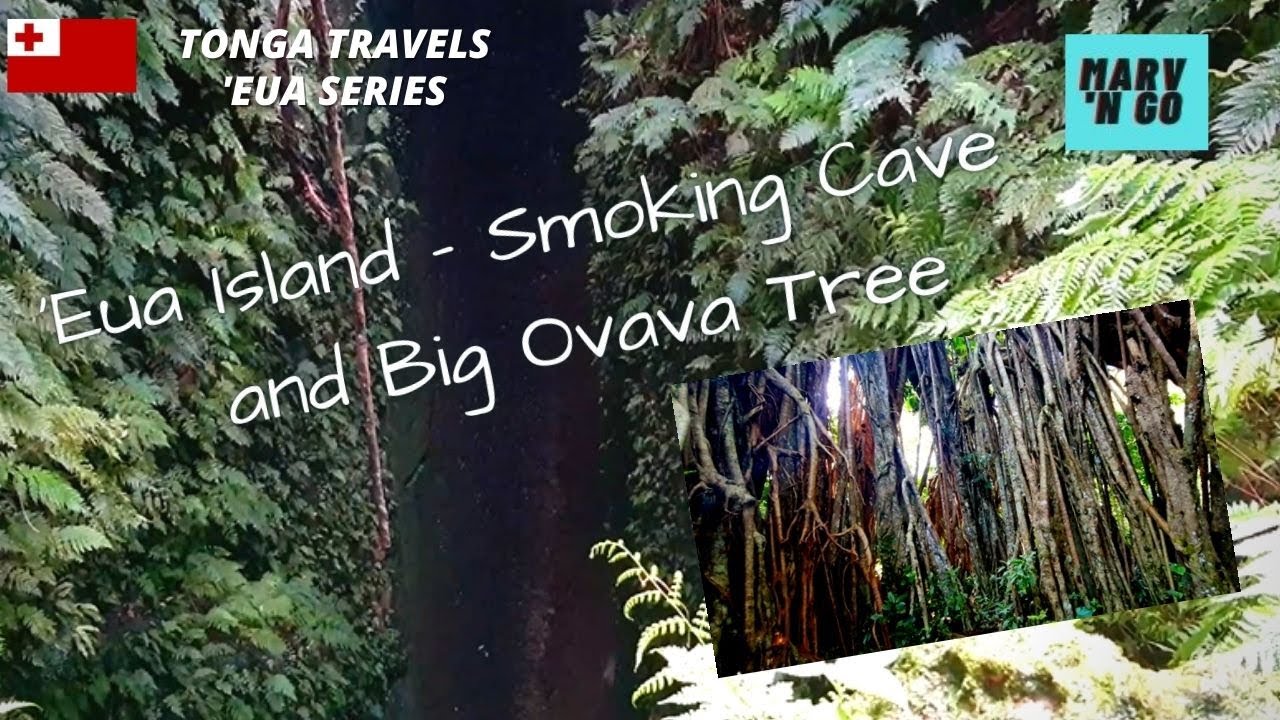 Tonga Travels 'Eua: 'Ana 'Ahu (Smoking Cave) and Big Ovava Tree
