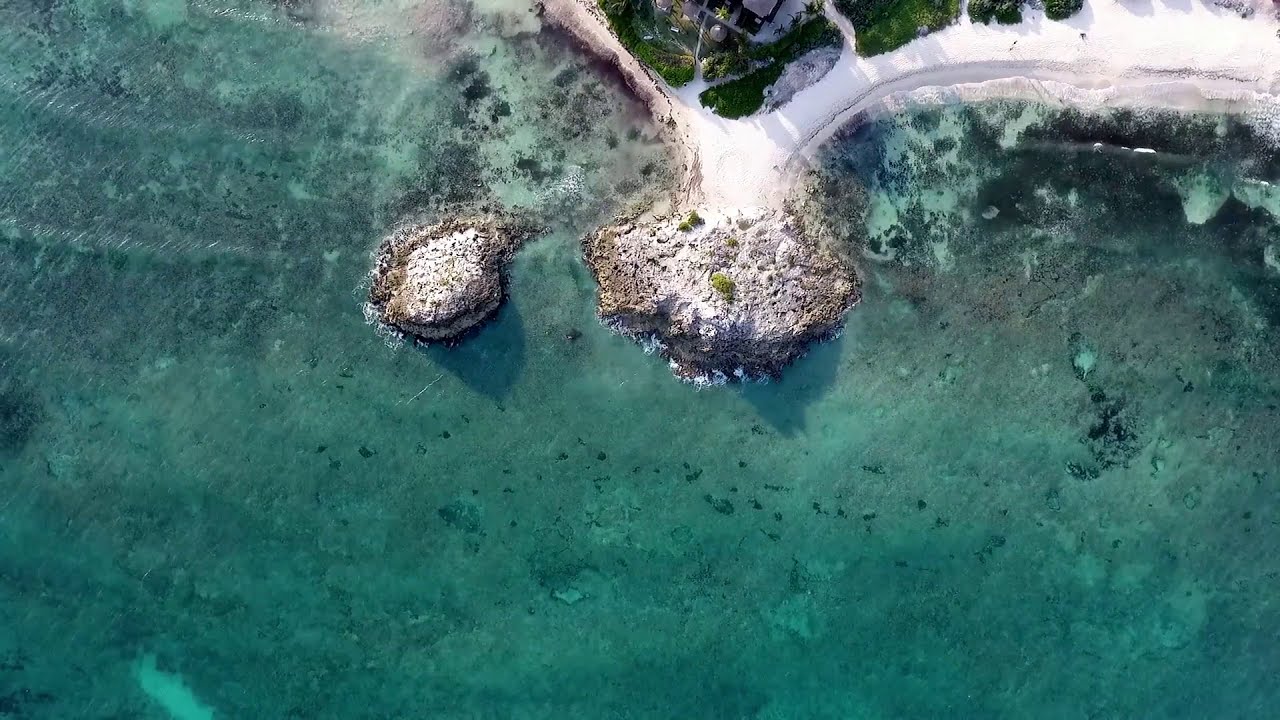 Musica rilassante per riposare la mente, rilassarsi e dormire 2021!