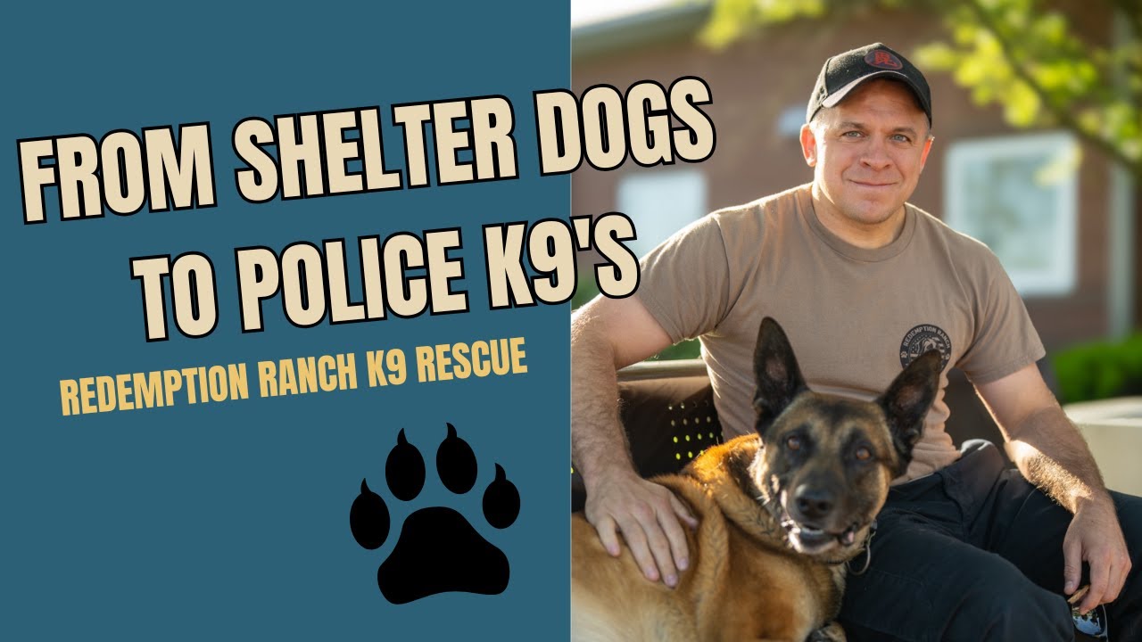 Redemption Ranch K9 Rescue | From Shelter to Service Dog 🐾