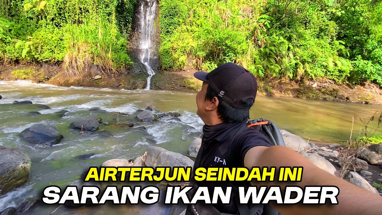 Mancing Wader Anti Zonk Strike Terus Tanpa Jeda