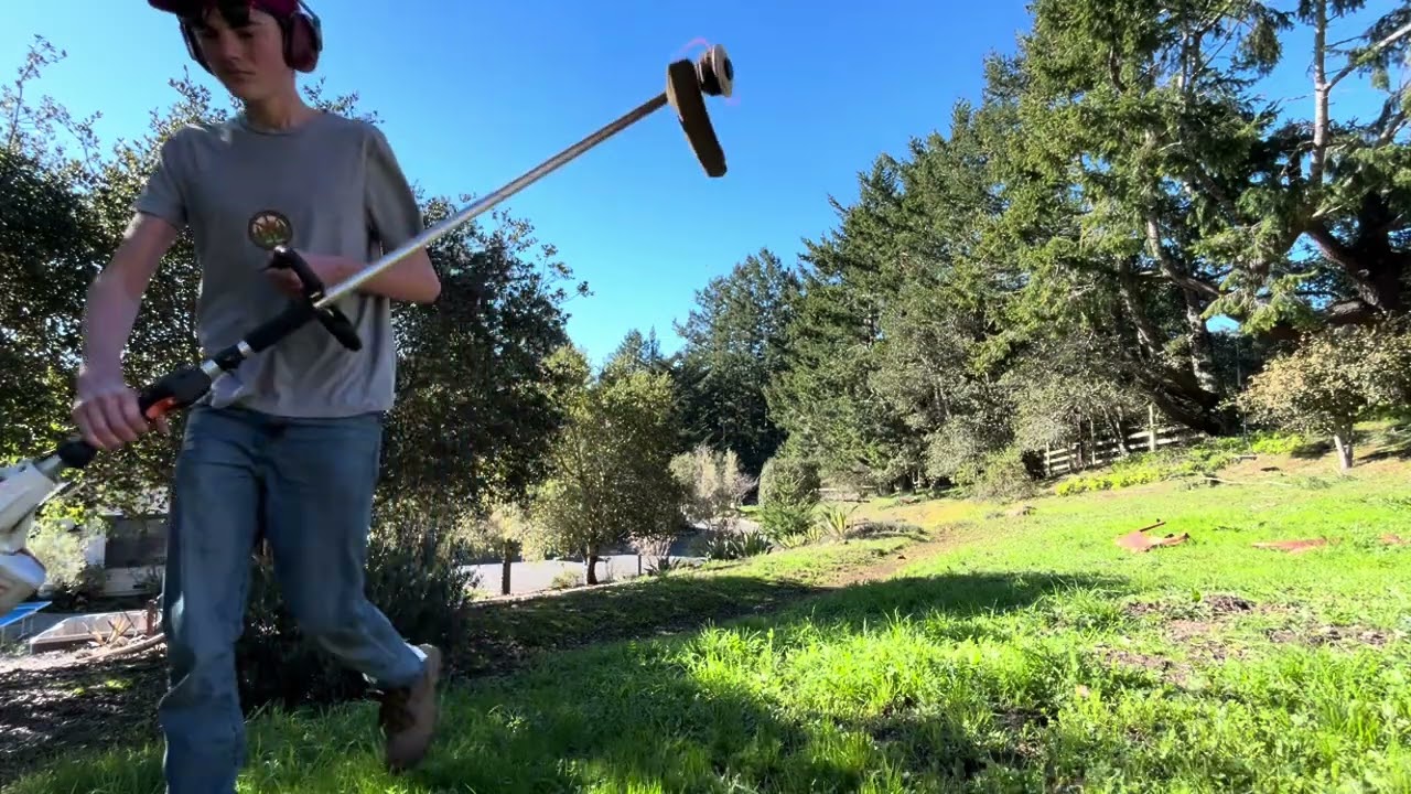 Vlog #3 trimming and blowing the storm drains.