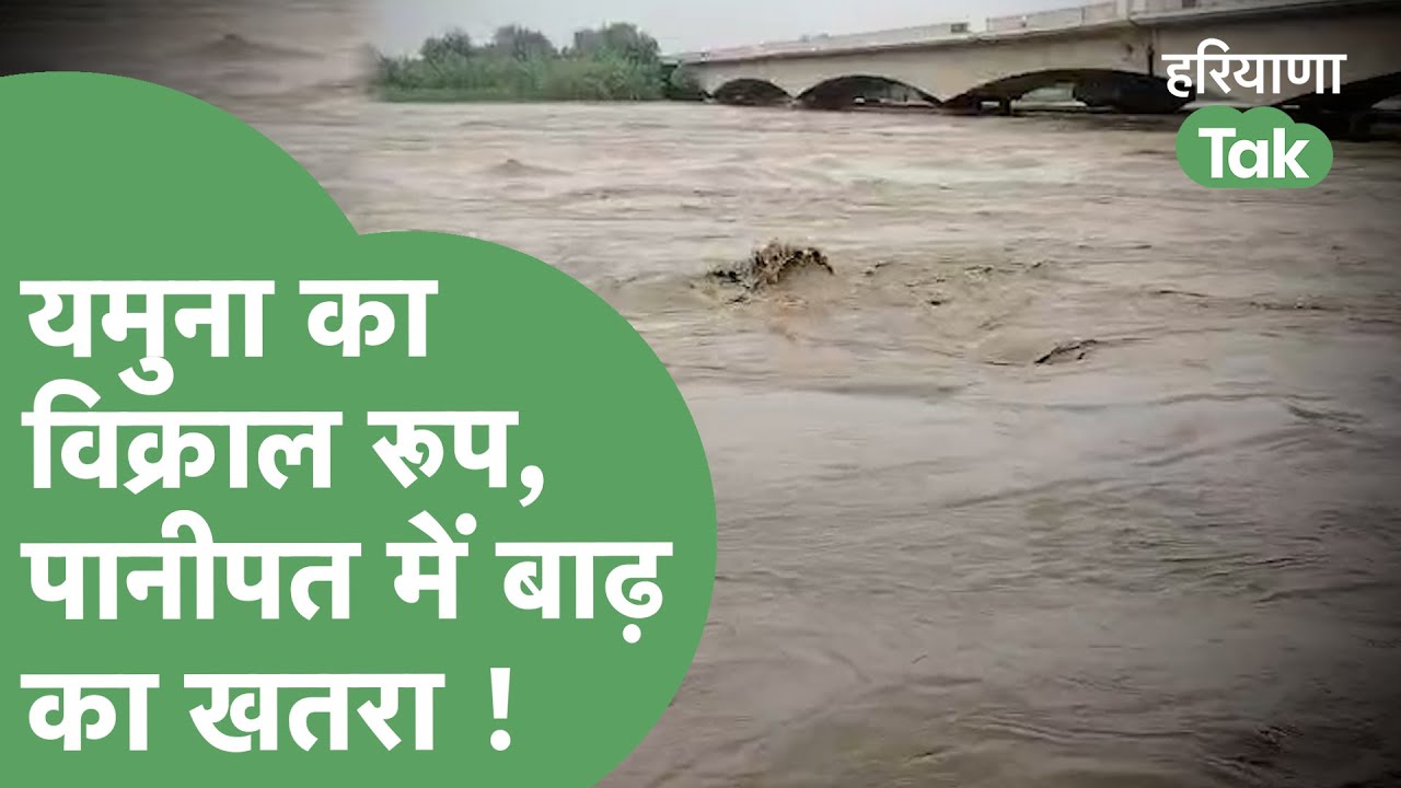 Flood Alert : Panipat में Yamuna उफान मार रही है, बाढ़ का खतरा बढ़ा ! | Haryana Tak