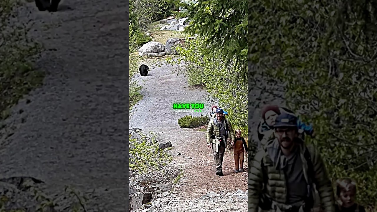Joe Rogan on Hiker Family Survives Grizzly Bear Encounter