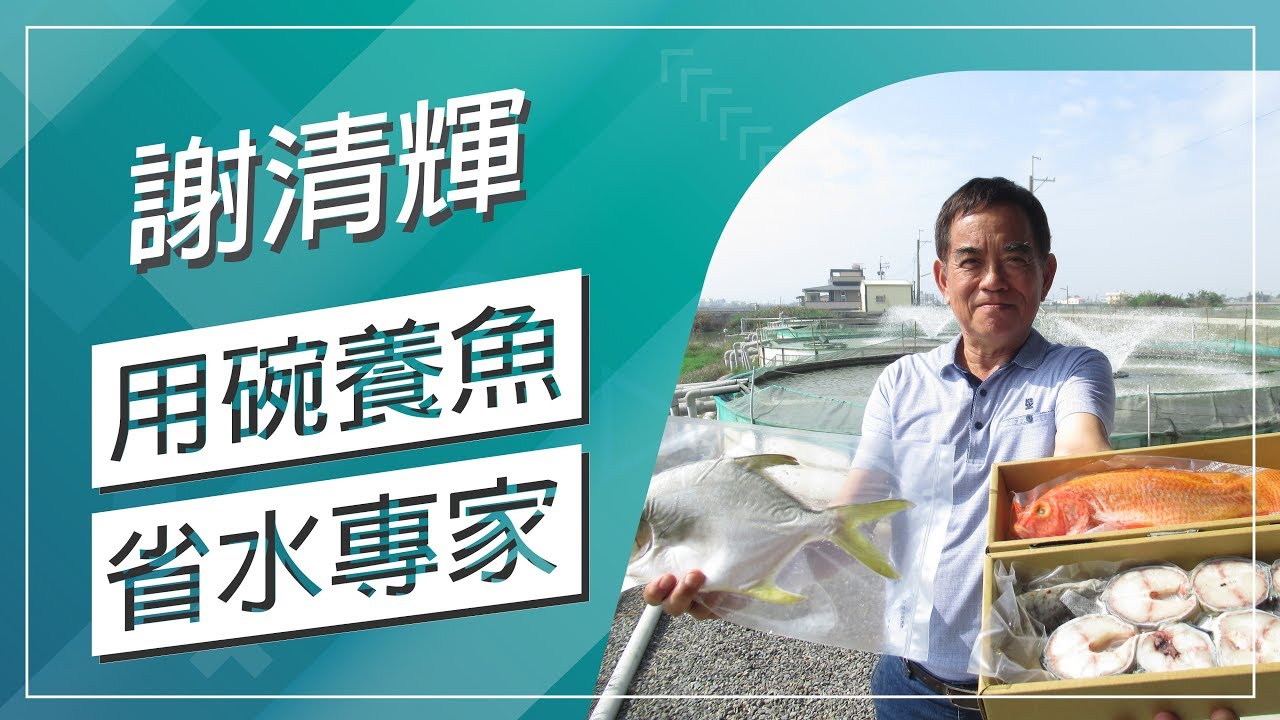 草地狀元-黃金鯧魚生態養殖循環專家(20190225播出)careermaster