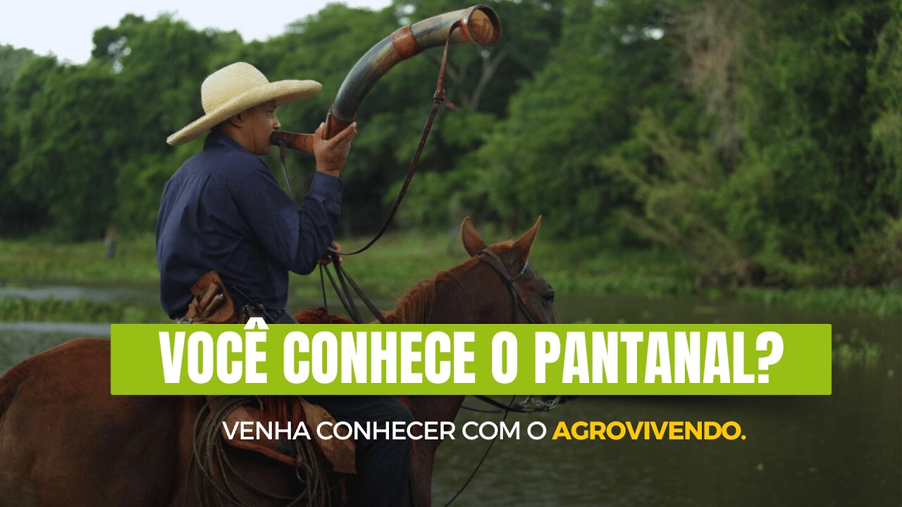Especial de Final de Ano | PANTANAL