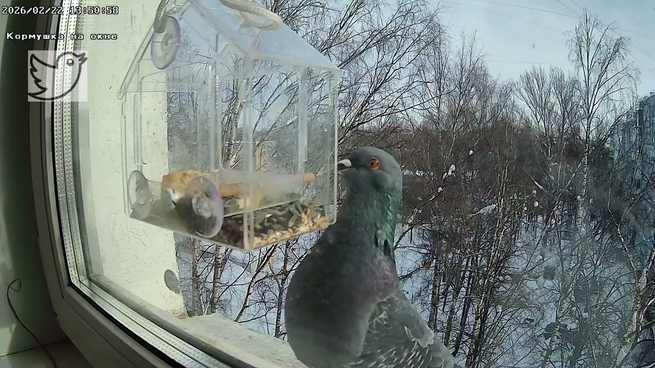 Один за всех.