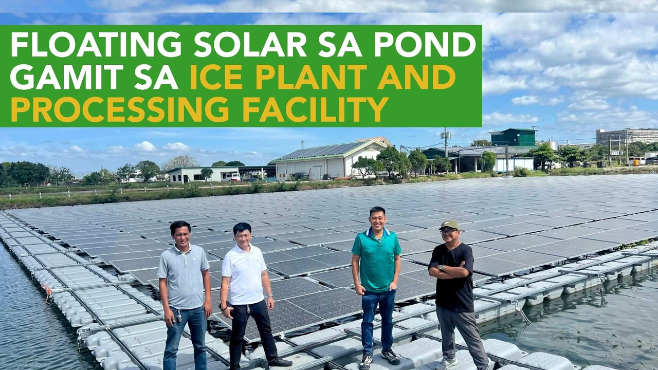 Walang ng Reason na Hindi Mag Solar Energy Specially kung Malaki at May Processing sa Farm!
