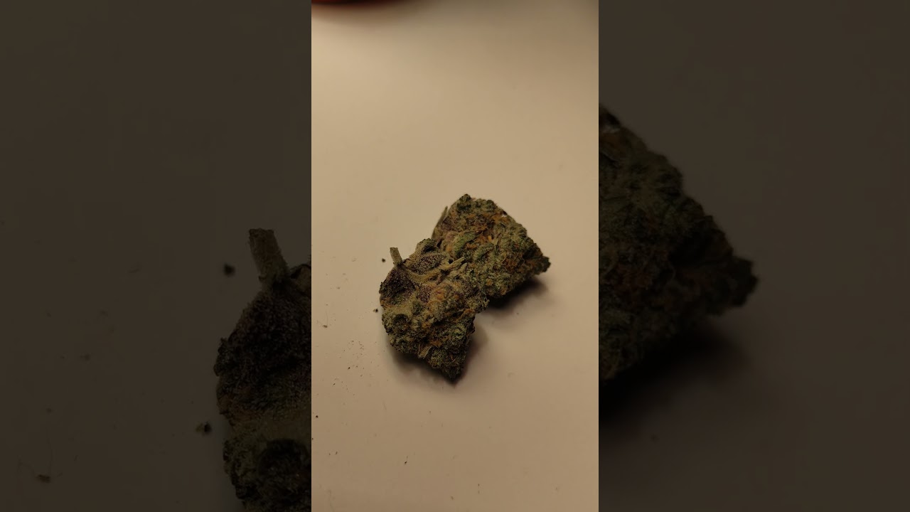 blueberry sativa