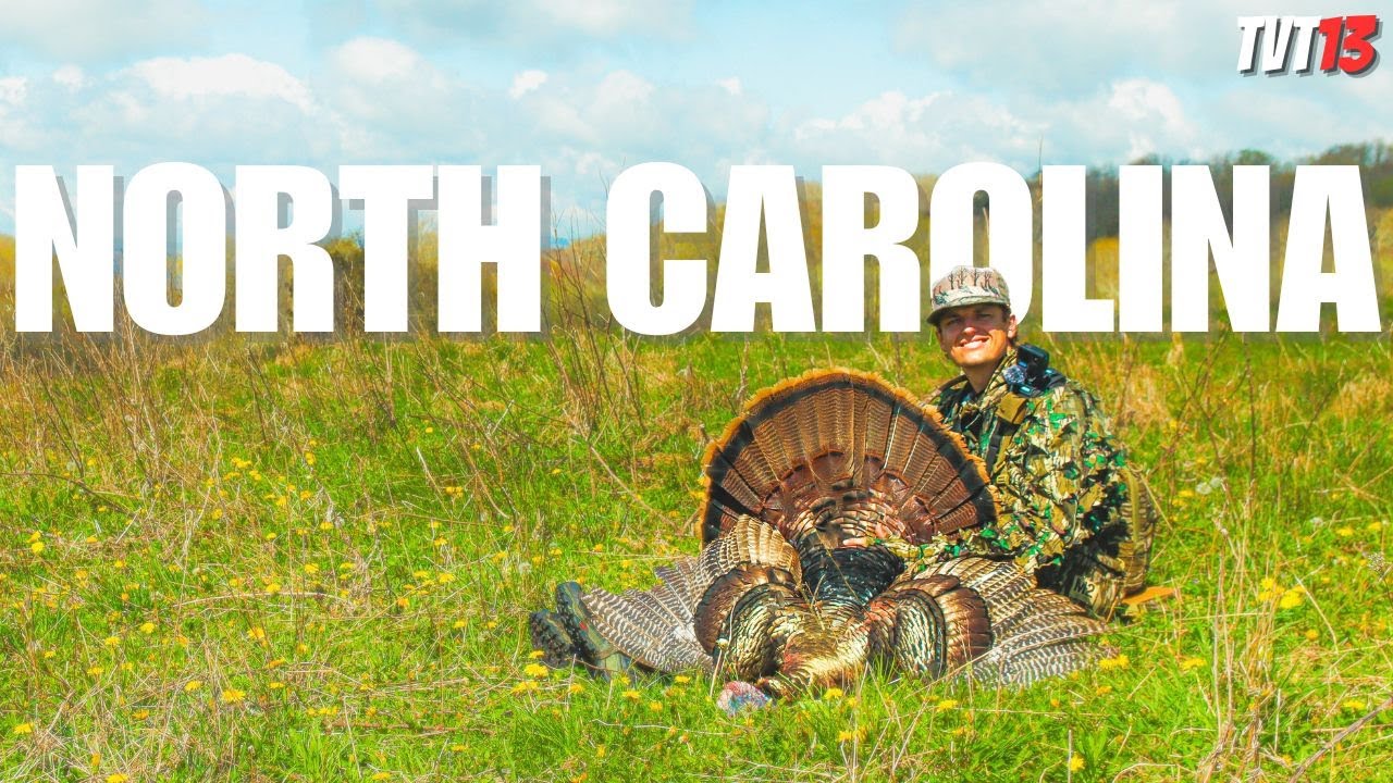 FIRED UP GOBBLERS in the NORTH CAROLINA Mountains - Public Land Turkey Hunting