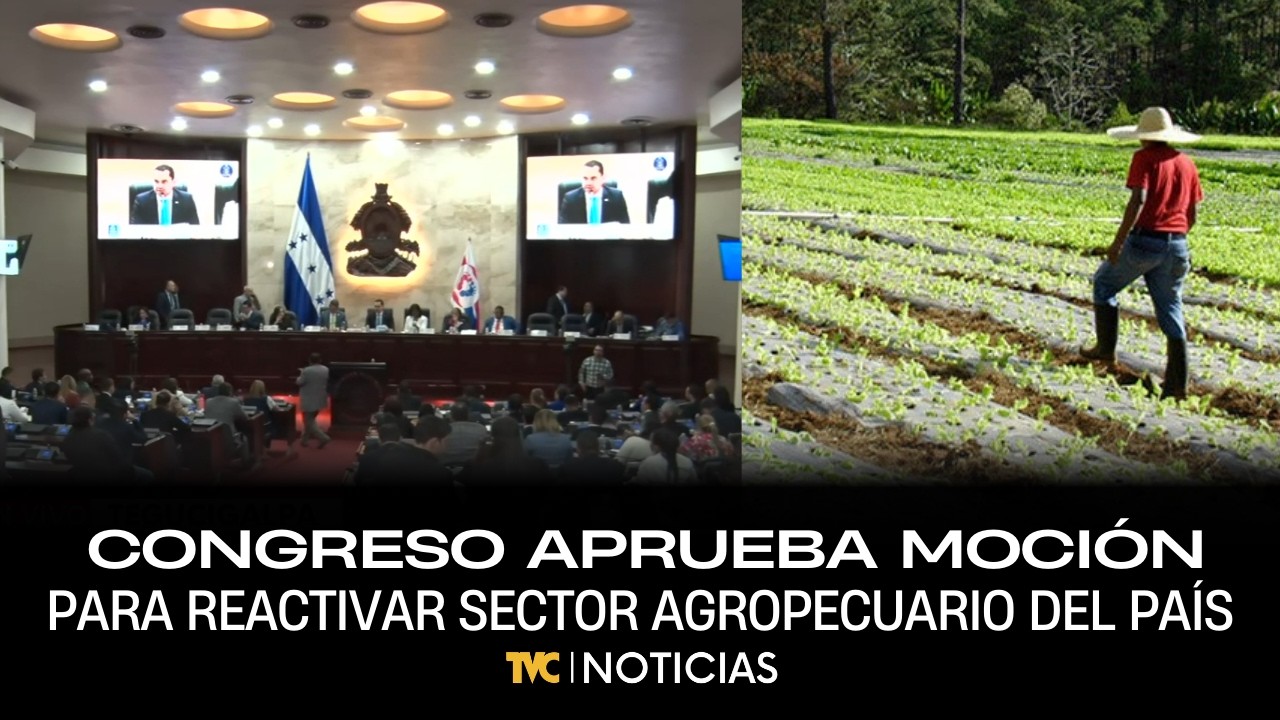 Congreso aprueba moción para reactivar y reestructurar sector agropecuario del país