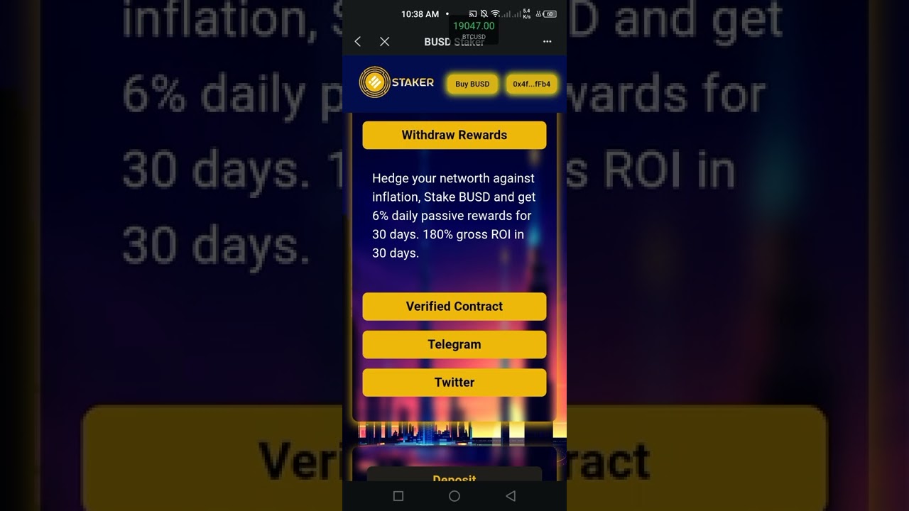 BUSD Staker's Smart Contract 6% Daily Rewards
