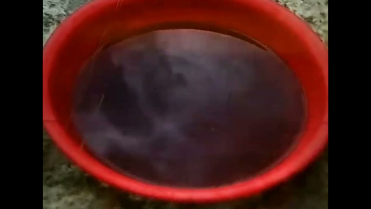 PALOMAS DESPARASITADAS EXTERIORMENTE ☑️