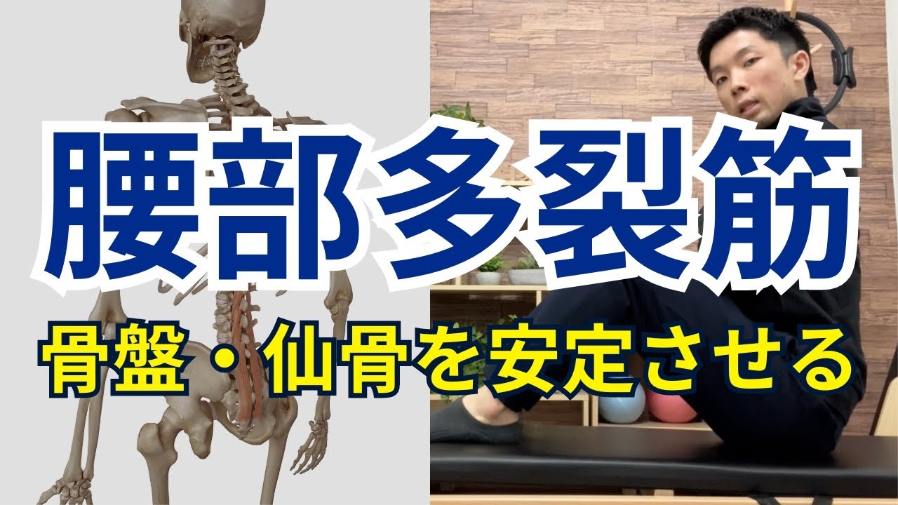 【腰部多裂筋を活性化させる方法】骨盤の歪み・仙腸関節の不安定性改善に欠かせない「腰部多裂筋を活性化させるエクササイズ方法」を理学療法士が解説！【愛媛県松山市 ピラティス・整体】