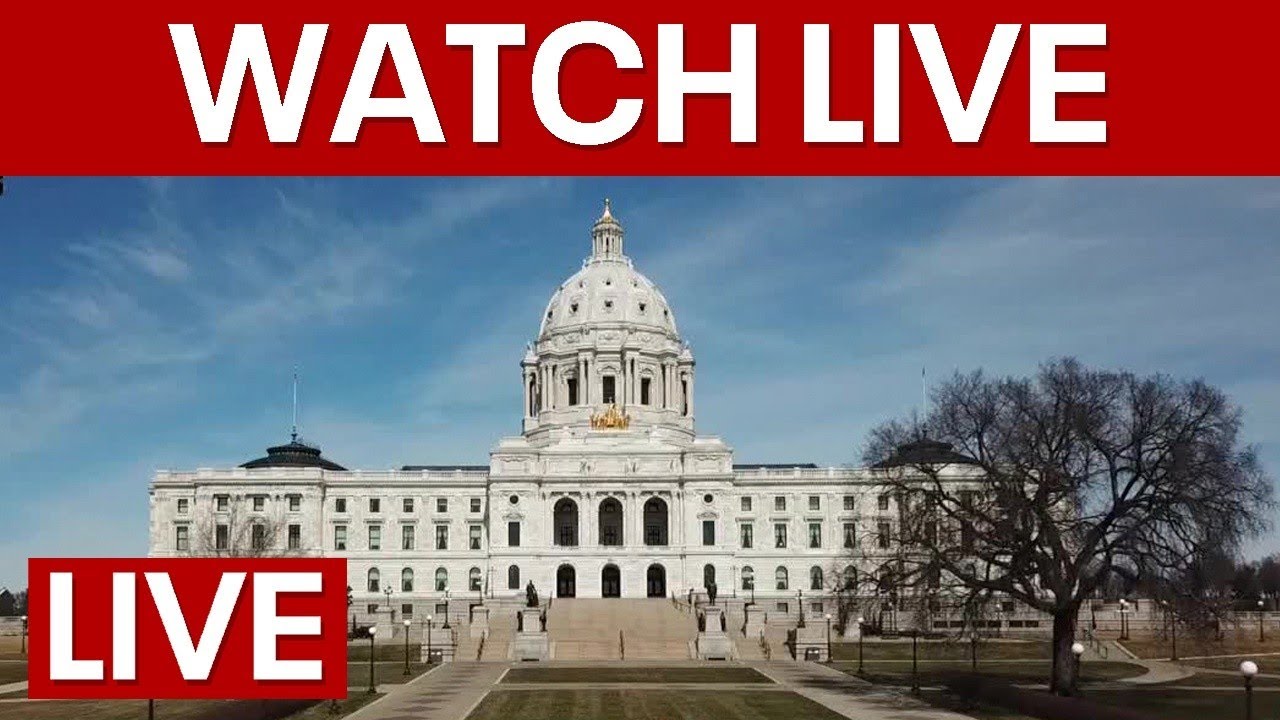 LIVE | Minnesota Senate voting on gun violence prevention package