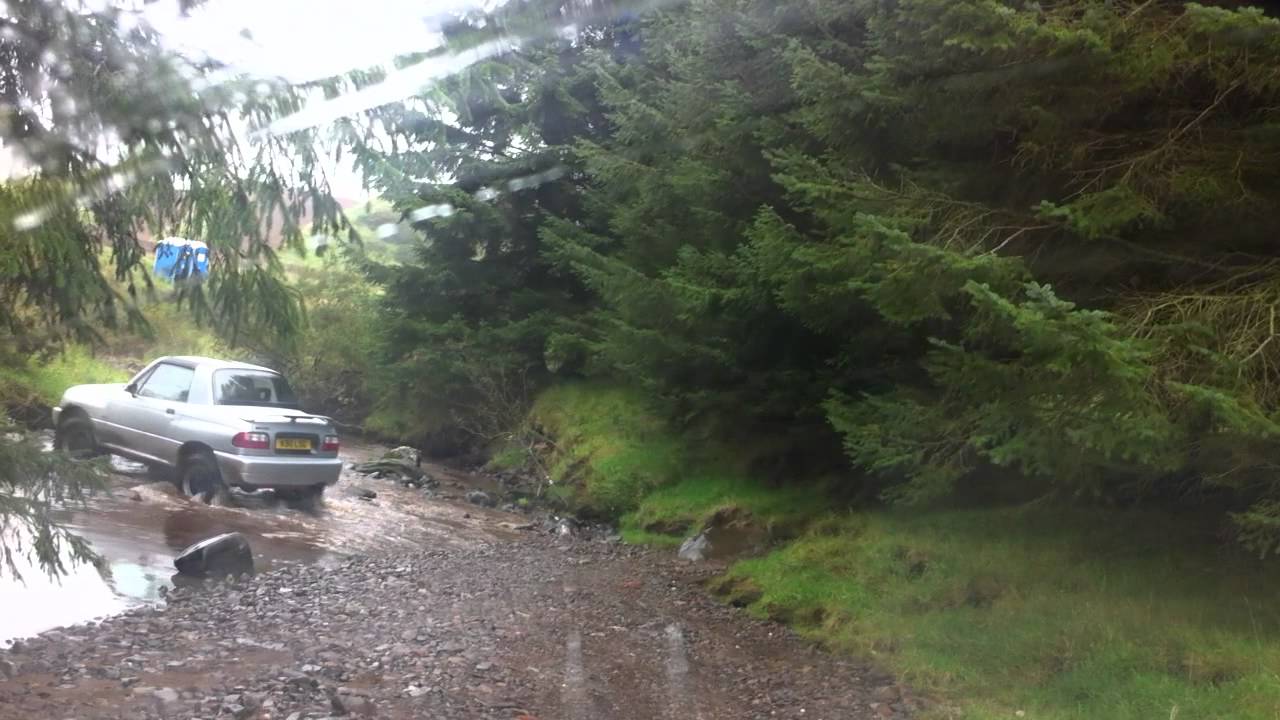 Driving around the forrest at clog
